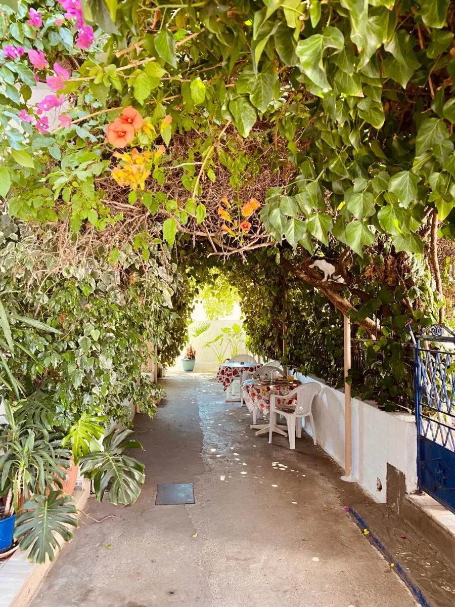 Image 3 of Afroditi Pension