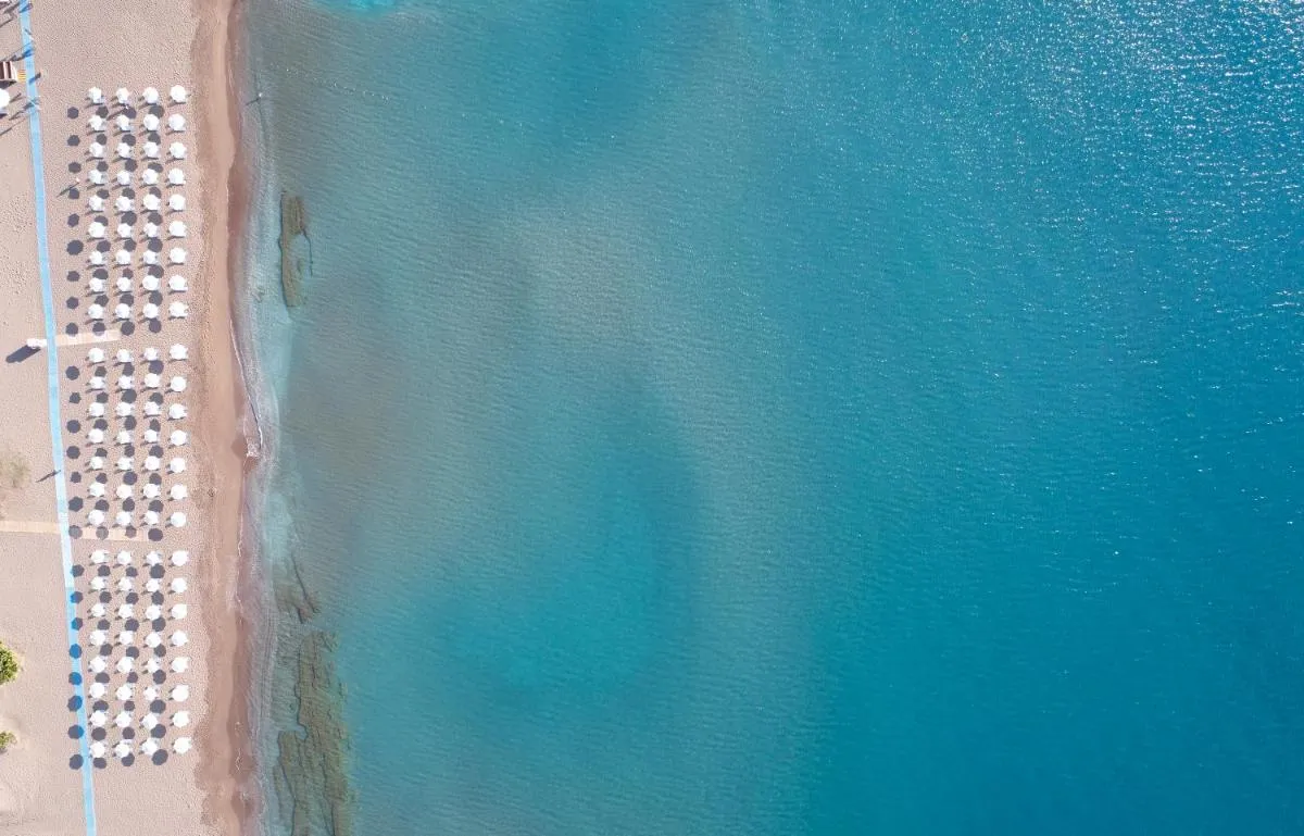 Image 5 of Apollo Blue