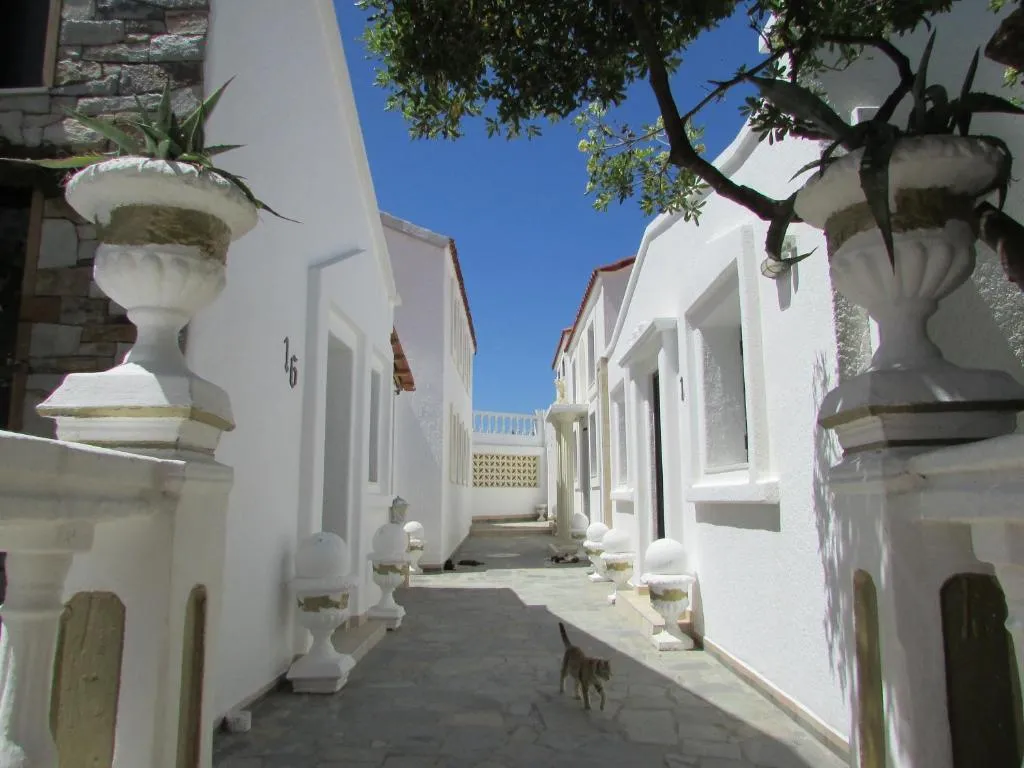 Image of Castellino Studios