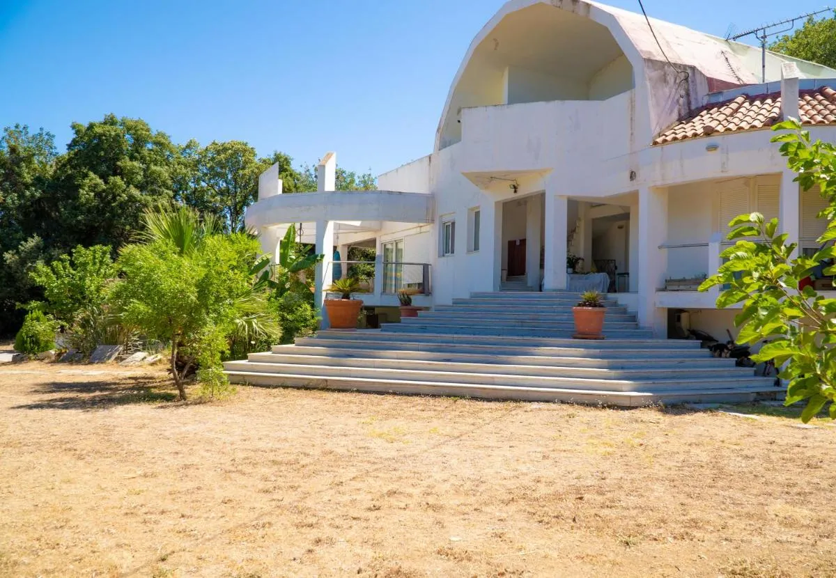 Image 5 of Daphne’s Tropical House Rhodes