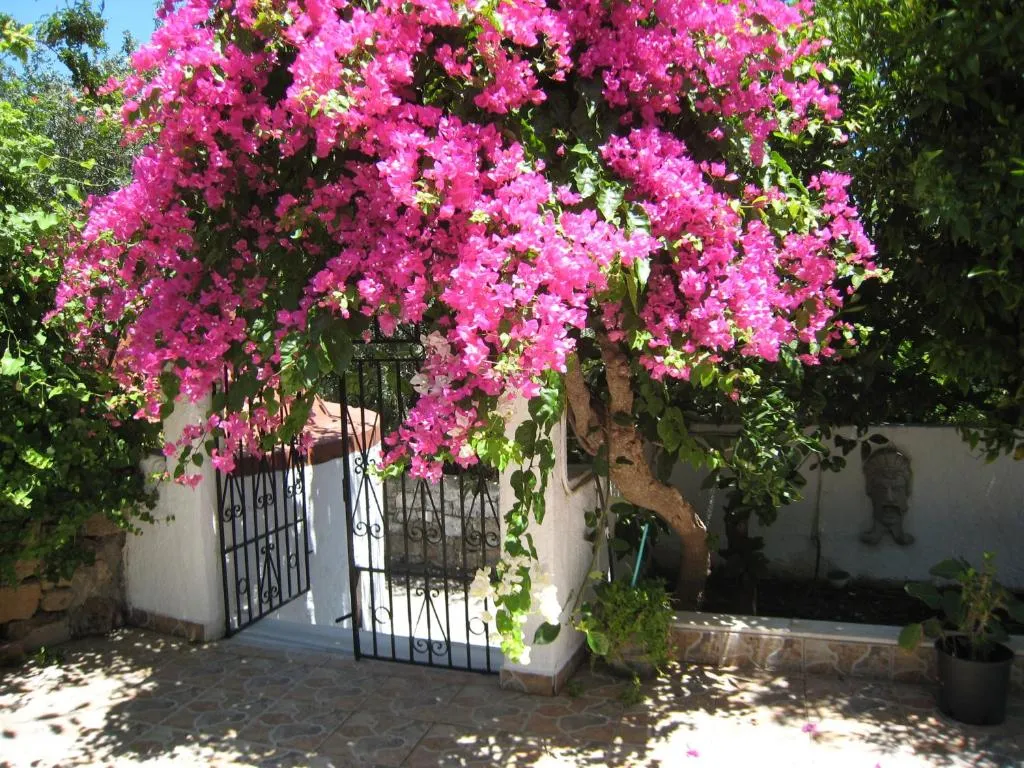 Image of Eleftheria Lindian Studios II
