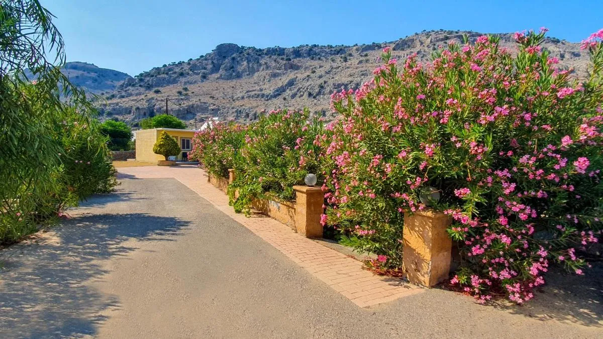 Image 5 of George Studios Pefkos