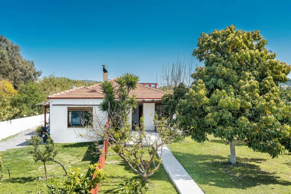 Image 5 of Ily’s House