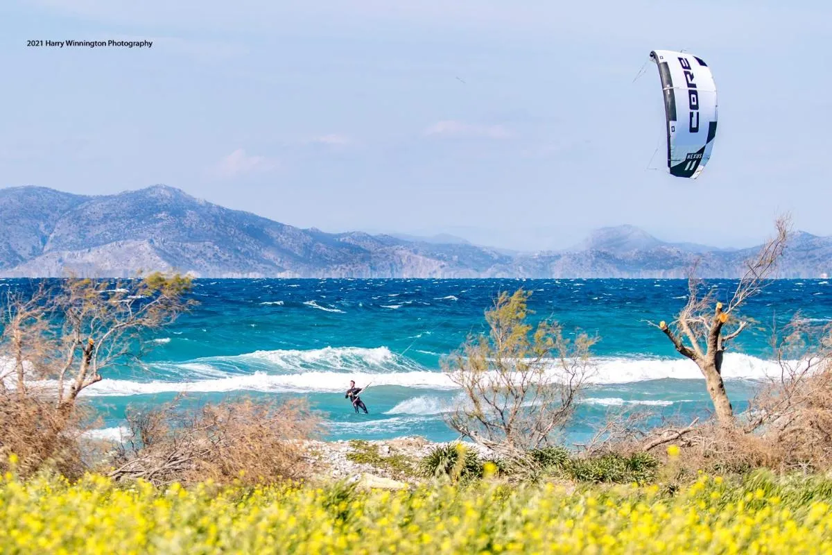 Image 6 of Nikos Ikies