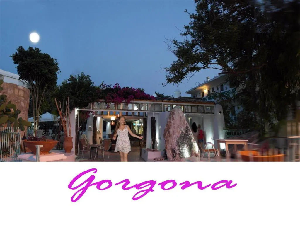 Image of Gorgona Studios