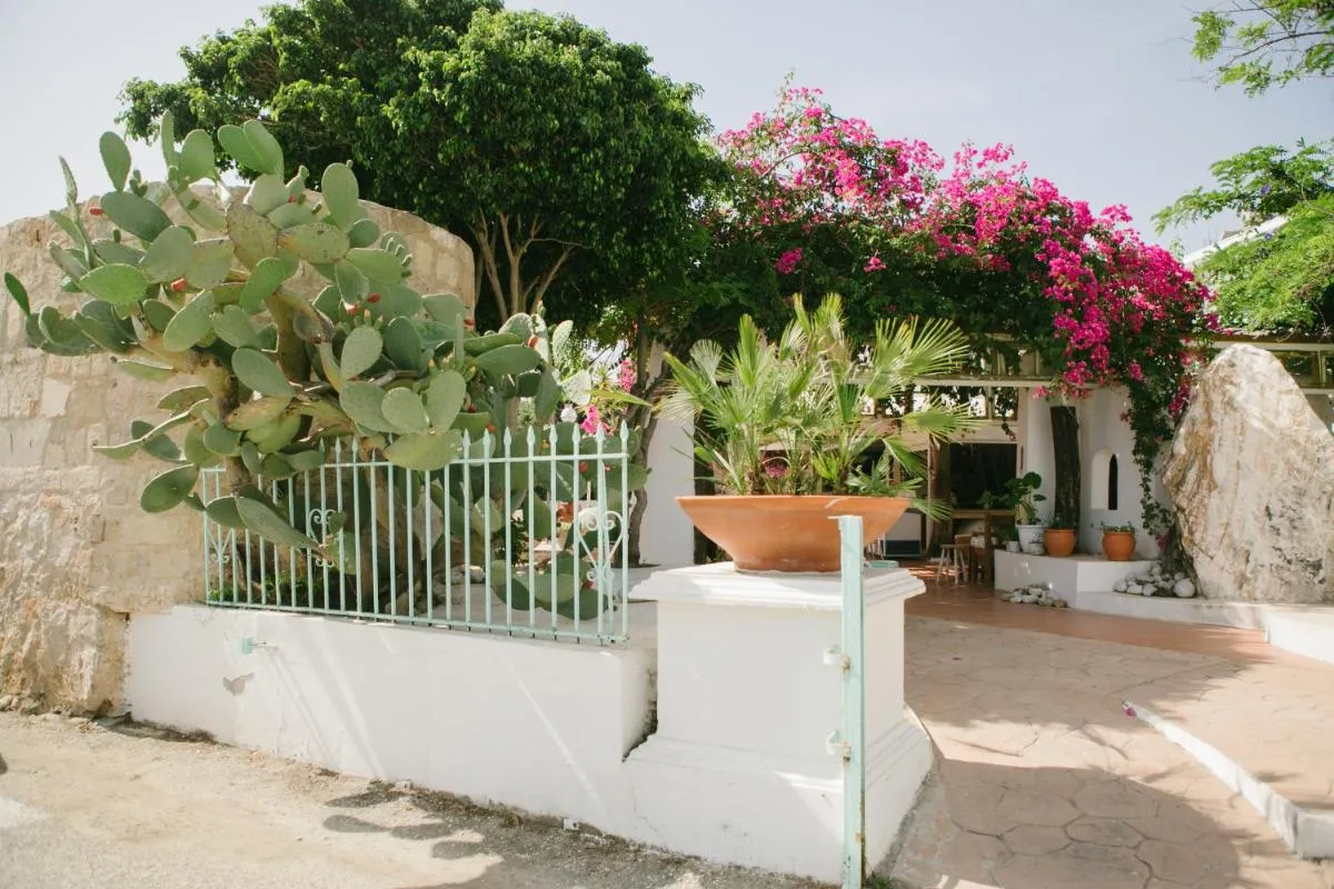 Image 5 of Gorgona Studios