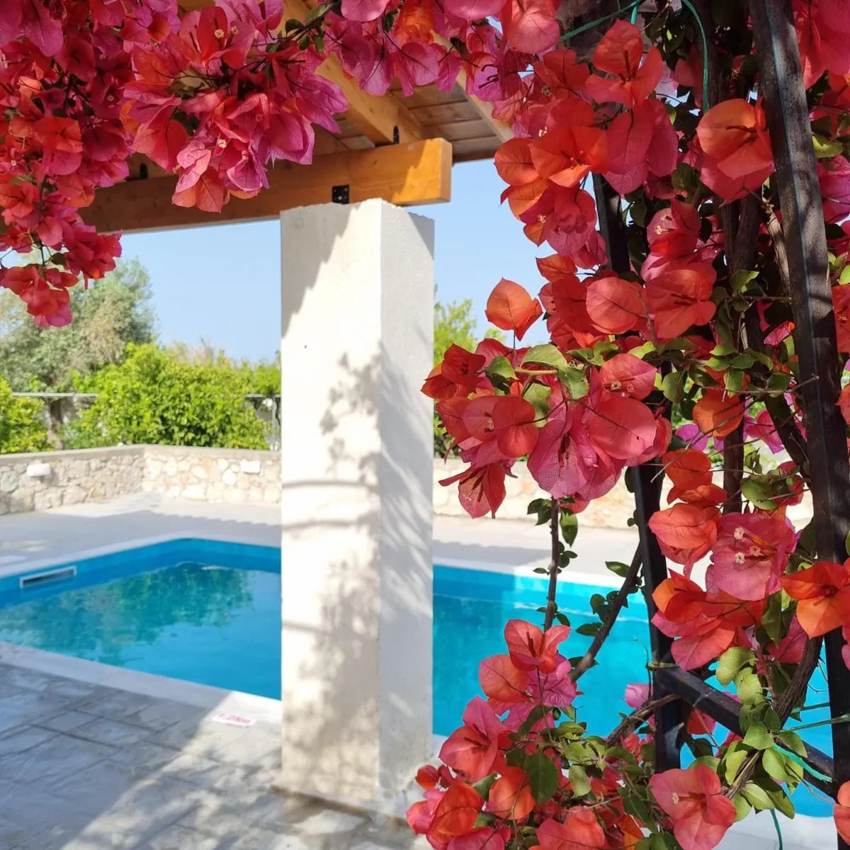Image 3 of Lianas Garden House