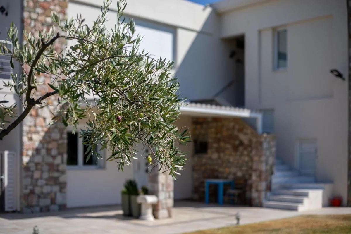 Image 1 of Olive Tree Villas Afandou